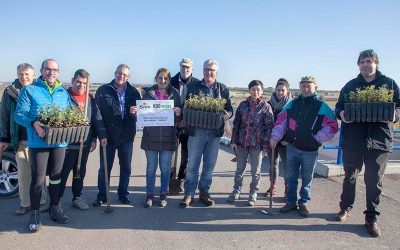 Planten alzines als marges del Canal Segarra Garrigues per recuperar la biodiversitat de l’entorn
