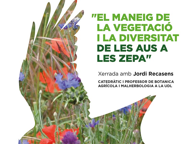 Xerrada: «El maneig de la vegetació i la diversitat de les aus a les Zepa»