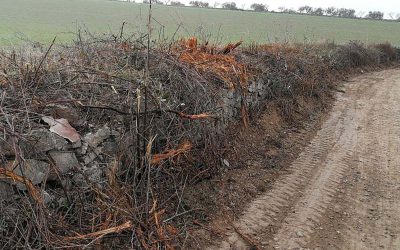 Contra la destrucció de l’entorn agroforestal