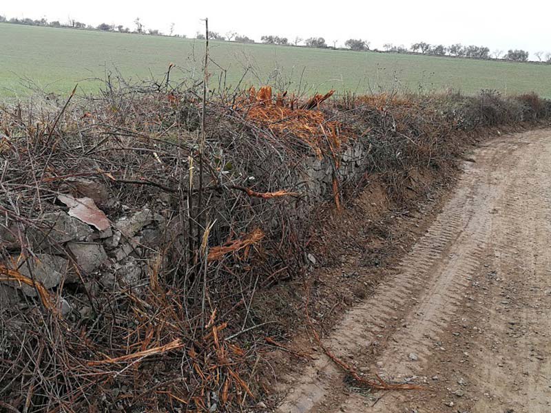 Contra la destrucció de l’entorn agroforestal