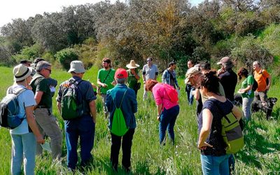 Descoberta de les plantes companyes del nostre entorn