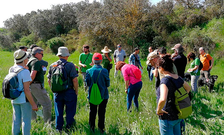 Descoberta de les plantes companyes del nostre entorn