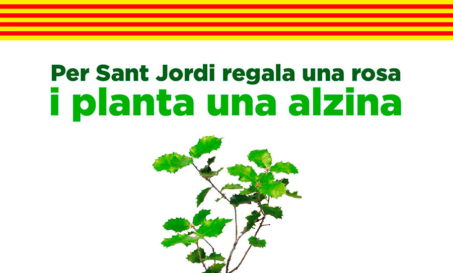 Per Sant Jordi regala una rosa i planta una alzina
