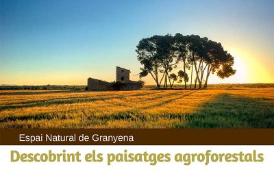 Descobrint els paisatges agroforestals de la Vall del Cercavins