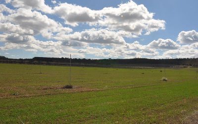 SUPORT DEL GRUP D’ECOLOGIA I MEDI AMBIENT DE TÀRREGA A L’ESTUDI D’IMPACTE AMBIENTAL DE LA MILLORA DEL REG DEL CANALET