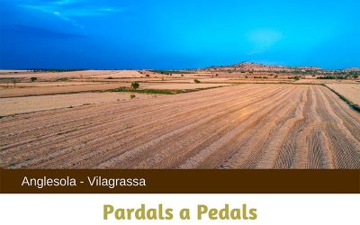 Pardals a Pedals