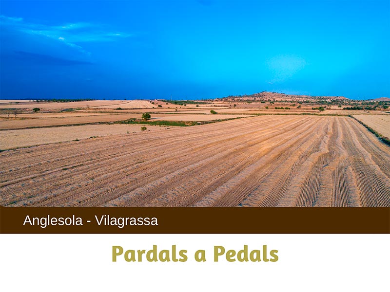 Pardals a Pedals