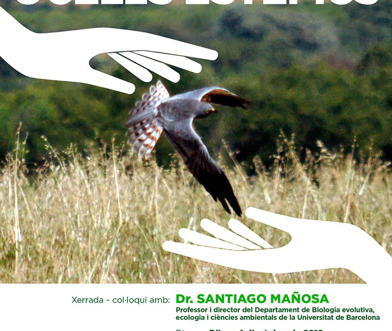 Xerrada: El repte de la conservació dels ocells estèpics