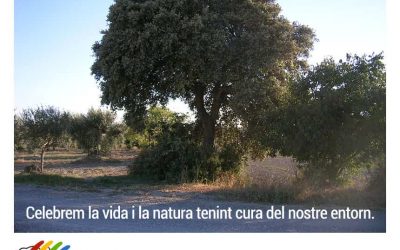 Celebrem la vida i la natura tenint cura del nostre entorn. Bones festes!