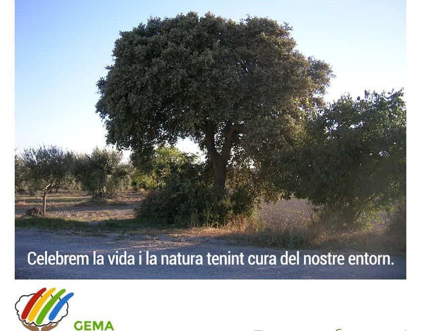 Celebrem la vida i la natura tenint cura del nostre entorn. Bones festes!