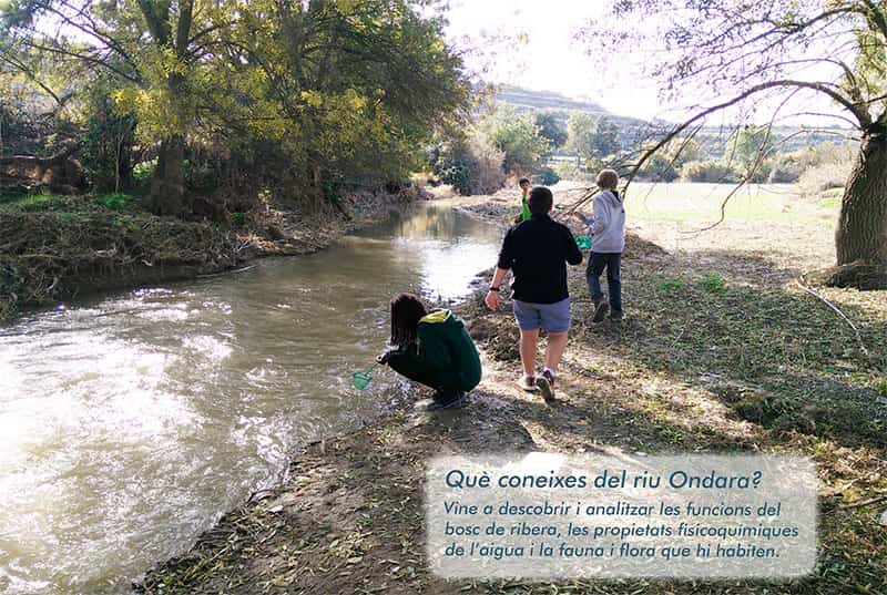 Descoberta del riu Ondara