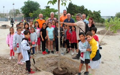 Tàrrega celebra el Dia Mundial del Medi Ambient amb una plantada d’arbres al Col·legi Àngel Guimerà