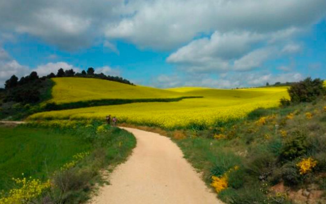 Natura i espiritualitat