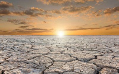 L’emergència climàtica?