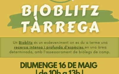 Vine a conèixer el nostre medi natural: PRIMER BIOBLITZ A L’URGELL