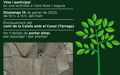 Plantació de llavors i reforestació dels erms del canal 2023