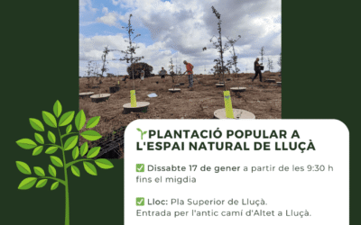 PLANTACIÓ POPULAR a Lluçà – 17 DE GENER 2026