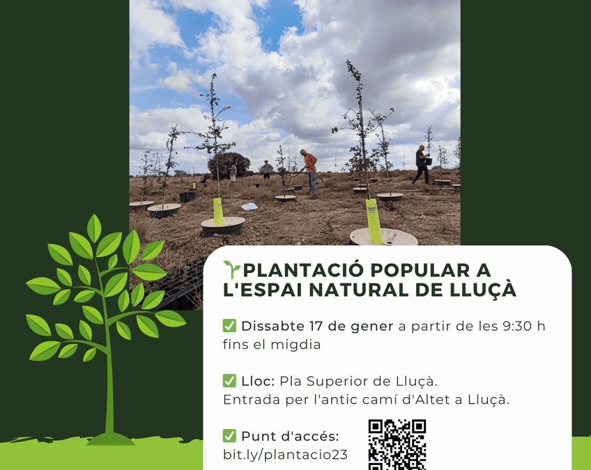 PLANTACIÓ POPULAR a Lluçà – 17 DE GENER 2026